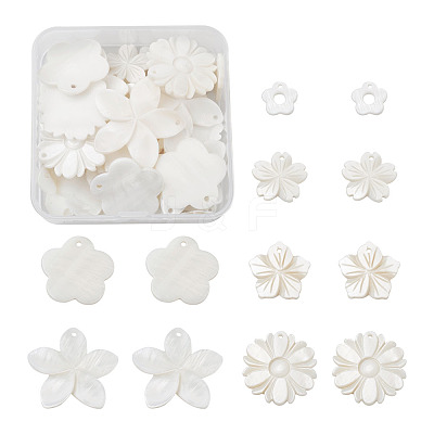 Natural Freshwater Shell Pendants SSHEL-KS0001-01-1