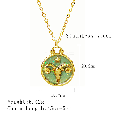 304 Stainless Steel Enamel Constellation Pendant Necklaces LS-DJ0261-2-1-1