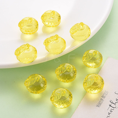 Transparent Acrylic Pendants TACR-T024-05B-916-1
