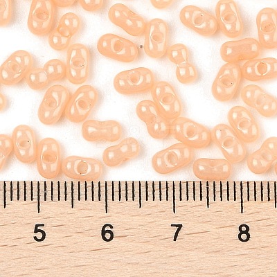 Baking Paint Glass Seed Beads SEED-L011-09A-12-1