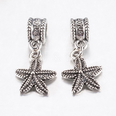Tibetan Style Alloy European Dangle Charms PALLOY-F199-41AS-1