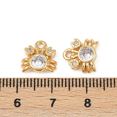 Ocean Theme Brass Micro Pave Cubic Zirconia Charms X1-KK-F902-08E-G-1