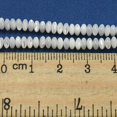 Natural Trochus Shell Beads Strands SSHEL-H072-11-1