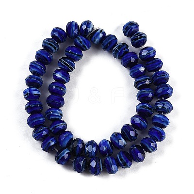Handmade Lampwork Beads Strands LAMP-T007-13H-1