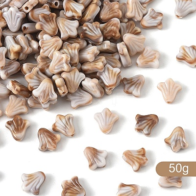 50g Resin Beads RESI-YW0004-30C-1
