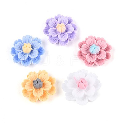 Resin Decoden Cabochons CRES-T025-04M-1