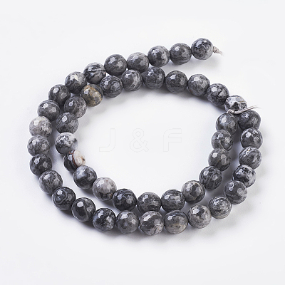 Natural Map Stone/Picasso Stone/Picasso Jasper Strands G-G099-8mm-27-1
