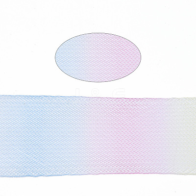 Mesh Ribbon PNT-S030-001D-1