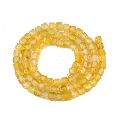Dyed Natural Agate Beads Strands G-T138-211J-1