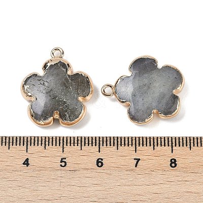 Natural Labradorite Pendants G-P566-01G-08-1