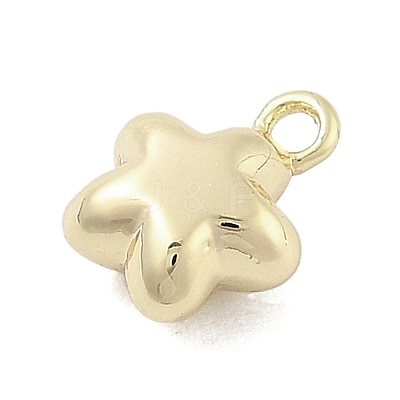 Brass Charms LS-KK-S514-06B-G-1