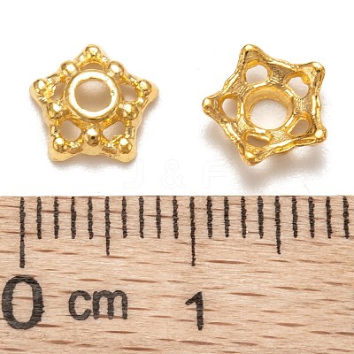 Tibetan Style Alloy Bead Caps LS-K08A7011-1