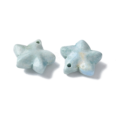 Natural Rainbow Alashan Agate Charms G-G194-02-1