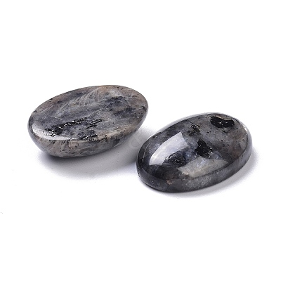 Natural Black Larvikite Cabochons G-Z020-10-1
