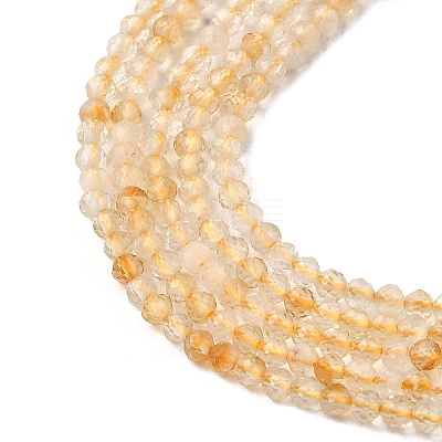 Natural Citrine Beads Strands G-I289-02-1