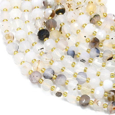 Natural Dendritic Agate Beads Strands G-K389-E61-01-1