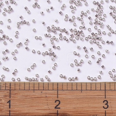 MIYUKI Delica Beads SEED-X0054-DB0417-1