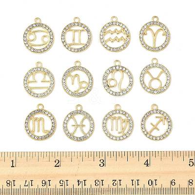 24Pcs 12 Styles Zinc Alloy Crystal Rhinestone Pendants FIND-FS0004-40-1
