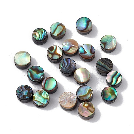Natural Abalone Shell/Paua Shell Beads SSHEL-M021-02-1