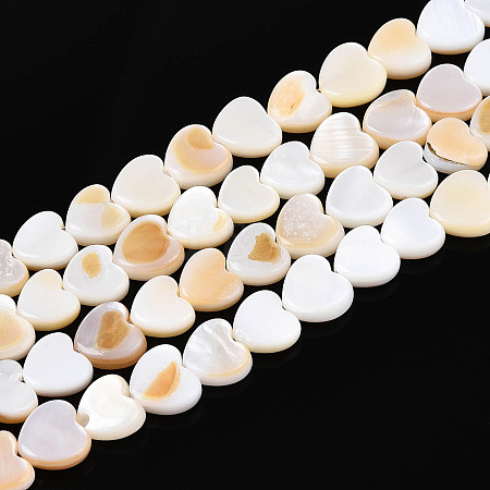 Natural Freshwater Shell Beads Strands SHEL-N026-67A-1