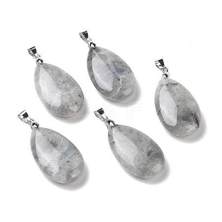 Natural Labradorite Pendants G-D084-01P-B22-1