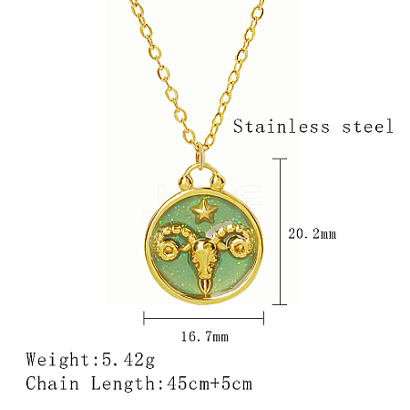 304 Stainless Steel Enamel Constellation Pendant Necklaces LS-DJ0261-2-1-1