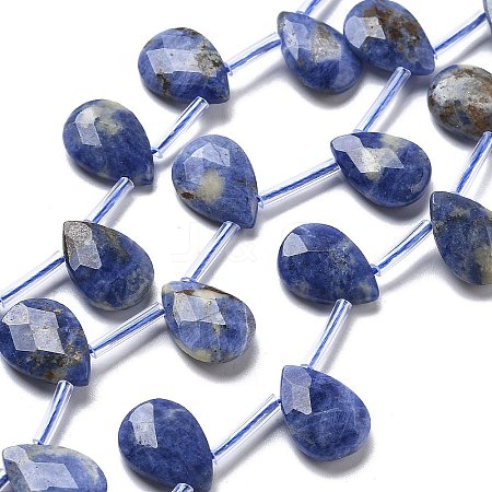 Natural Sodalite Beads Strands G-K382-C01-01-1