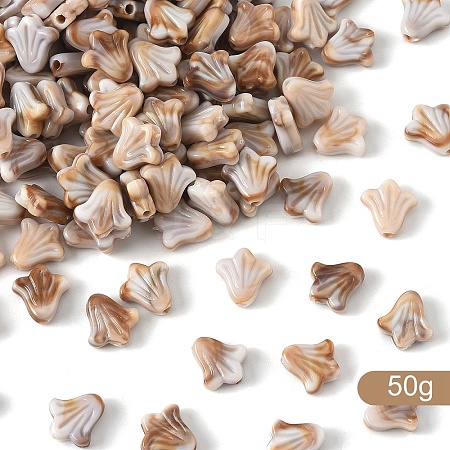 50g Resin Beads RESI-YW0004-30C-1