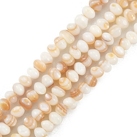 Natural Freshwater Shell Beads Strands SHEL-G013-03A-1