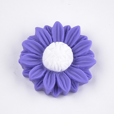 Resin Cabochons CRES-T010-59I-1