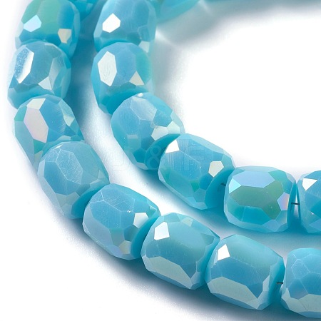 Electroplate Opaque Glass Beads GLAA-F108-10B-04-1