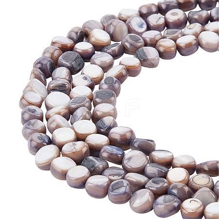 CHGCRAFT 5 Strands Natural Freshwater Shell Beads Strands SHEL-CA0001-012-1