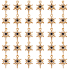 30Pcs Alloy Rhinestone Pendant FIND-SC0011-05-1