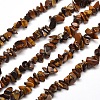 Natural Tiger Eye Chip Bead Strands X-G-M205-03-1