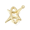 Alloy Pendants AL-CBA31C4-01G-2