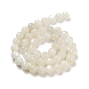 Natural White Moonstone Beads Strands G-D294-8mm-3