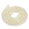 Electroplate Transparent Glass Beads Strands GLAA-H021-01B-FR04-4