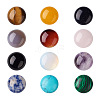 Fashewelry 24Pcs 12 Style Natural & Synthetic Gemstone Cabochons G-FW0001-05-2