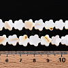 Natural Freshwater Shell Beads Strands SHEL-S276-111A-4
