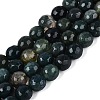 Natural Moss Agate Beads Strands G-Q606-42A-01-2