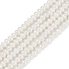 Electroplated Shell Pearl Beads Strands BSHE-Z009-11-2