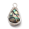 Natural Abalone Shell/Paua Shell Pendants X-PALLOY-JF00477-02-3