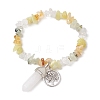 Natural Mixed Stone Chips Stretch Bracelets BJEW-JB11065-03-1