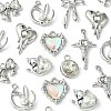 18Pcs 8 Styles Alloy Glass & Resin Pendants DIY-FS0005-35-3
