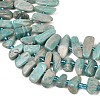 Natural Amazonite Beads Strands G-P619-A04-01-4