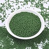 MIYUKI Round Rocailles Beads SEED-X0054-RR0411F-2