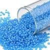 TOHO Round Seed Beads SEED-JPTR11-0163BF-1