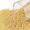 TOHO Round Seed Beads X-SEED-TR15-0948-1