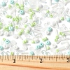 2 Sets Glass Seed Beads DIY-FS0008-27B-5