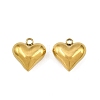 304 Stainless Steel Charms STAS-Z166-10G-1